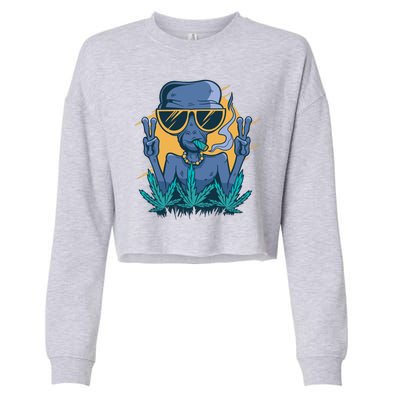 Alien Joint Cropped Pullover Crew