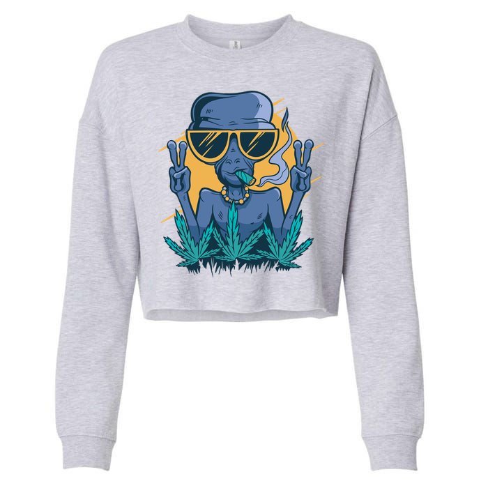 Alien Joint Cropped Pullover Crew