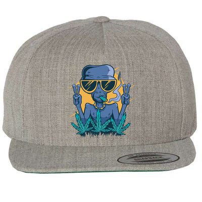 Alien Joint Wool Snapback Cap