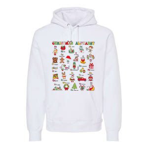 ABCs Learning Kindergarten Teacher Christmas Lights Alphabet Premium Hoodie