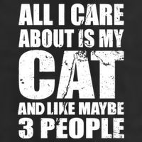 All I Care About Is My Cat And Like 3 People 7 Panel Mesh Trucker Snapback Hat