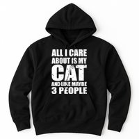 All I Care About Is My Cat And Like 3 People Hoodie