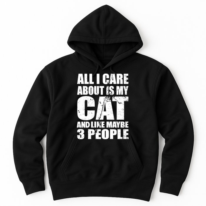 All I Care About Is My Cat And Like 3 People Hoodie
