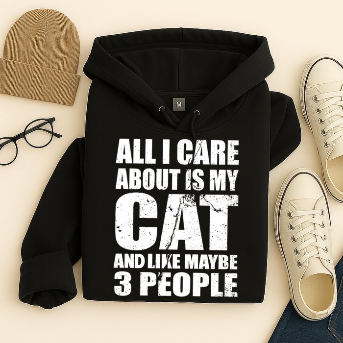 All I Care About Is My Cat And Like 3 People Hoodie