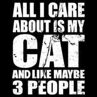 All I Care About Is My Cat And Like 3 People Hoodie