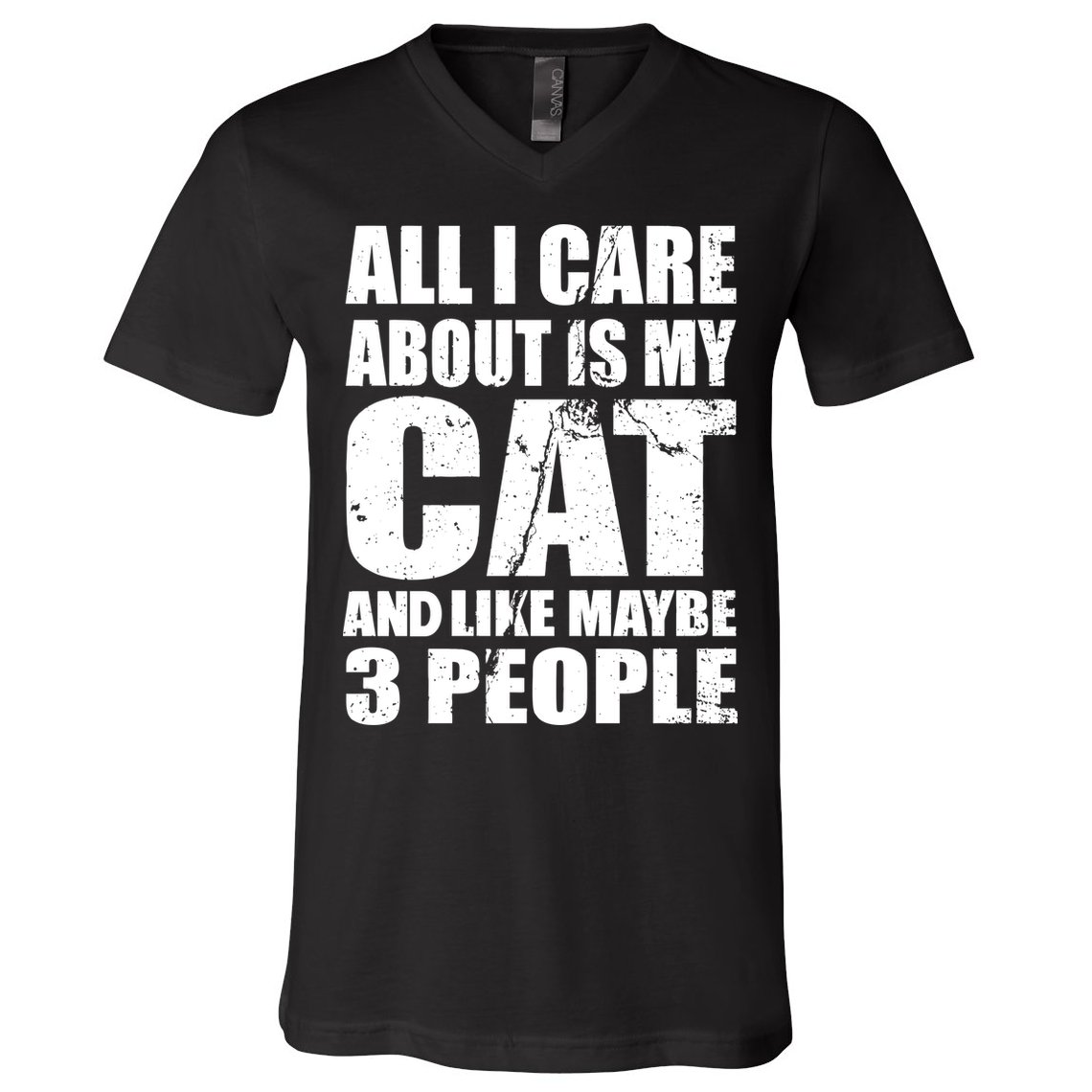 All I Care About Is My Cat And Like 3 People V-Neck T-Shirt