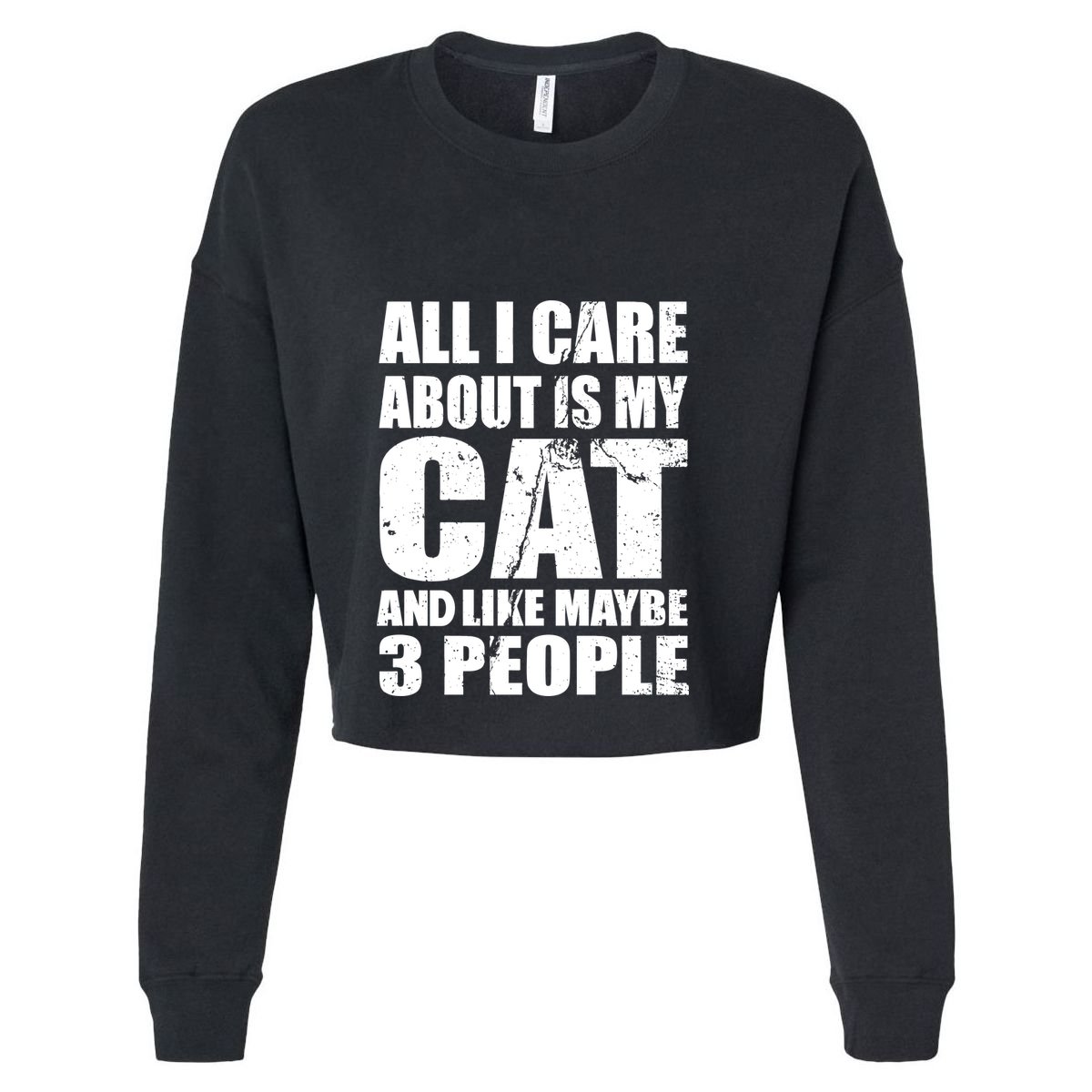 All I Care About Is My Cat And Like 3 People Kids Hoodie