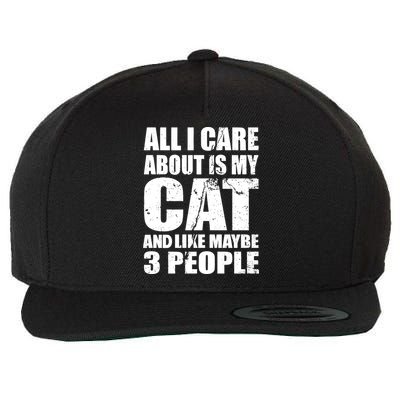 All I Care About Is My Cat And Like 3 People Wool Snapback Cap