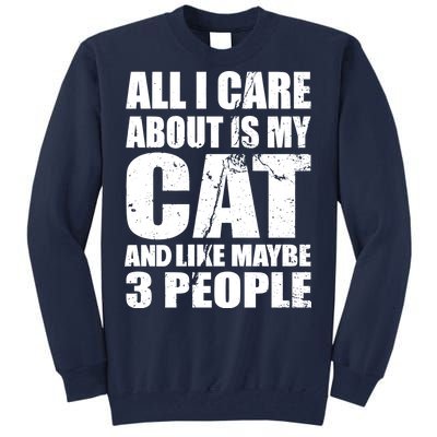 All I Care About Is My Cat And Like 3 People Tall Sweatshirt