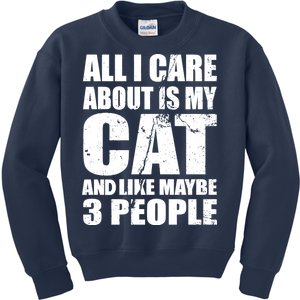 All I Care About Is My Cat And Like 3 People Kids Sweatshirt