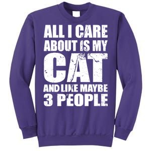 All I Care About Is My Cat And Like 3 People Sweatshirt