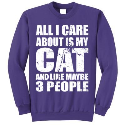 All I Care About Is My Cat And Like 3 People Sweatshirt