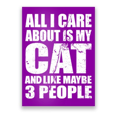 All I Care About Is My Cat And Like 3 People Poster