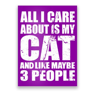 All I Care About Is My Cat And Like 3 People Poster