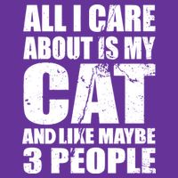 All I Care About Is My Cat And Like 3 People Hat