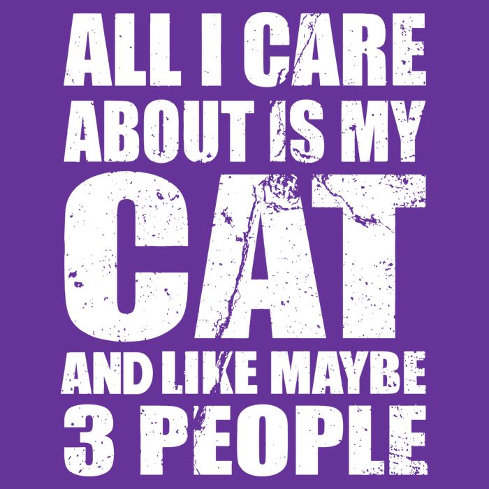 All I Care About Is My Cat And Like 3 People Hat