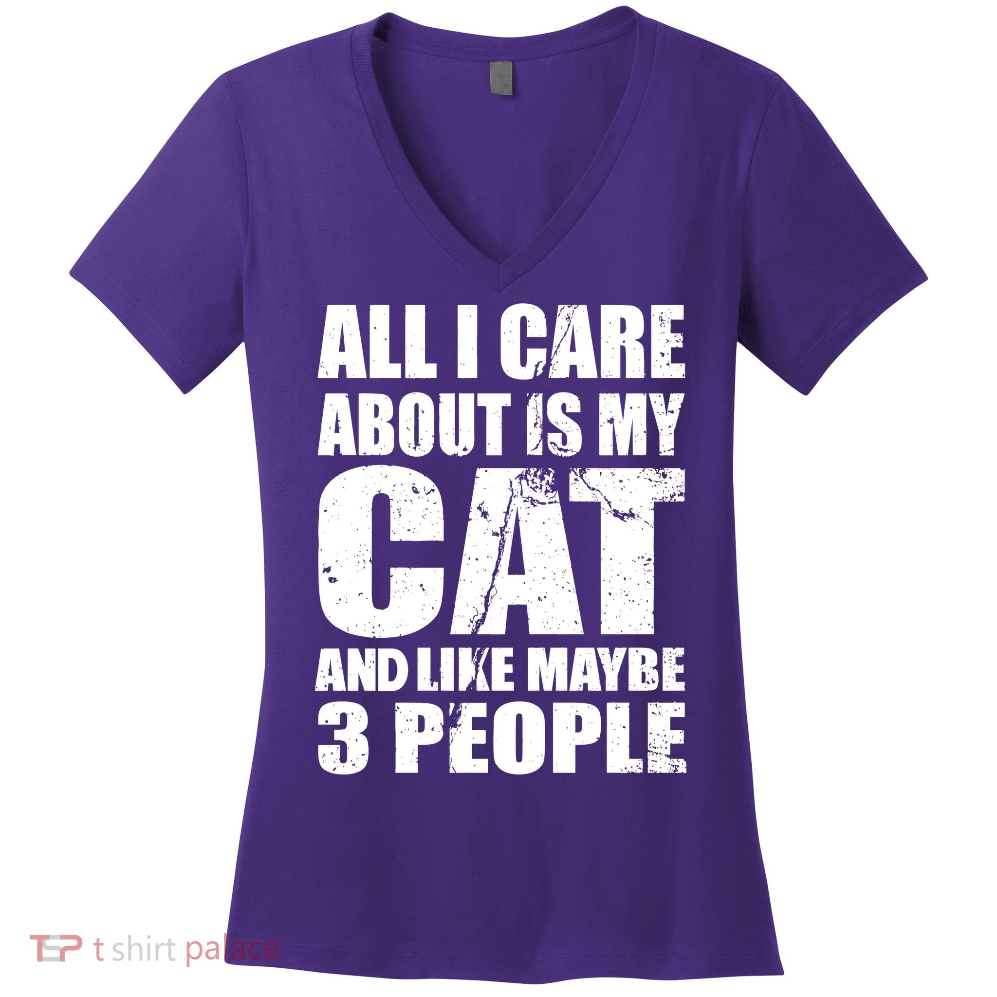 All I Care About Is My Cat And Like 3 People Women's V-Neck T-Shirt