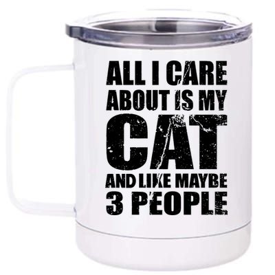 All I Care About Is My Cat And Like 3 People 12 oz Stainless Steel Tumbler Cup