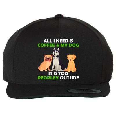 All I Need Is Coffee And My Dog Wool Snapback Cap