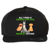 All I Need Is Coffee And My Dog Wool Snapback Cap