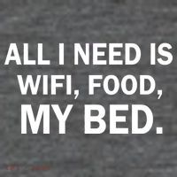 All I Need Is Wifi Food  Premium T-Shirt