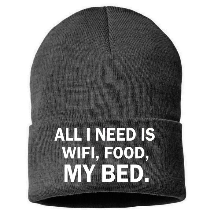 All I Need Is Wifi Food  Sustainable Knit Beanie