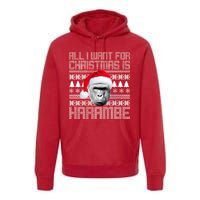 All I Want for Christmas is Harambe Ugly Sweater Design Premium Hoodie