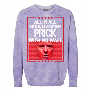 All In All He's Just Another Prick With No Wall Colorblast Crewneck Sweatshirt