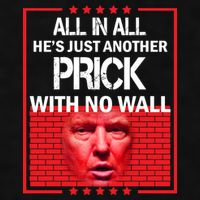 All In All He's Just Another Prick With No Wall Ladies PosiCharge Tri-Blend Wicking Tank