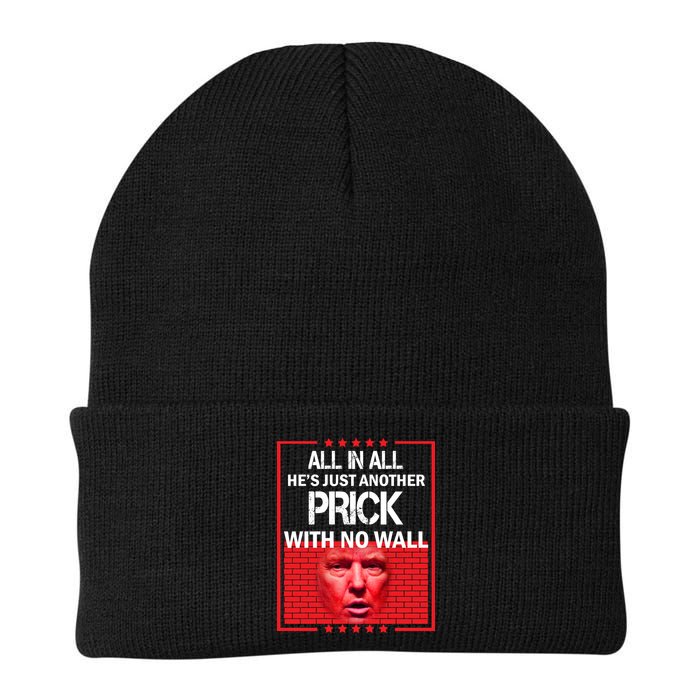 All In All He's Just Another Prick With No Wall Knit Cap Winter Beanie