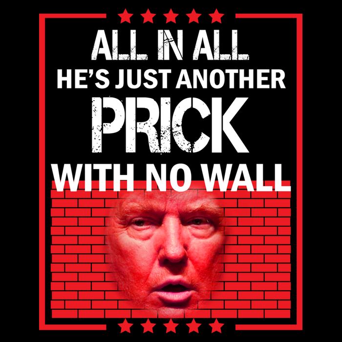 All In All He's Just Another Prick With No Wall Flatbill Hat