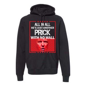 All In All He's Just Another Prick With No Wall Premium Hoodie