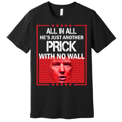 All In All He's Just Another Prick With No Wall Premium T-Shirt