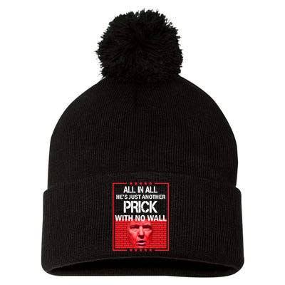 All In All He's Just Another Prick With No Wall Pom Pom 12in Knit Beanie