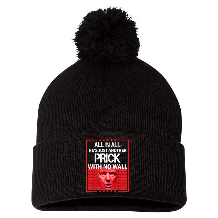 All In All He's Just Another Prick With No Wall Pom Pom 12in Knit Beanie