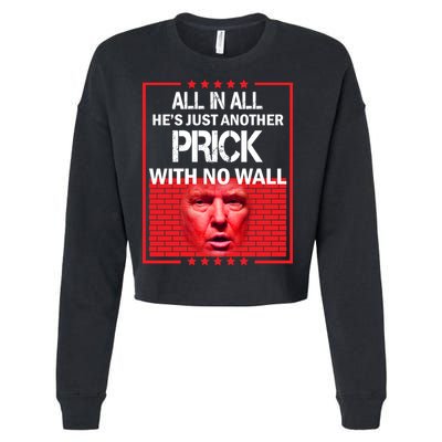 All In All He's Just Another Prick With No Wall Cropped Pullover Crew