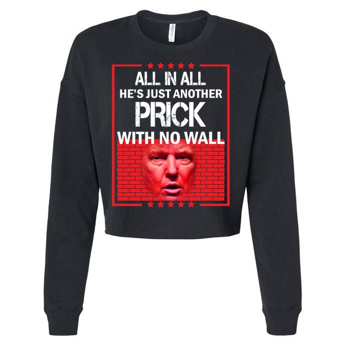 All In All He's Just Another Prick With No Wall Cropped Pullover Crew