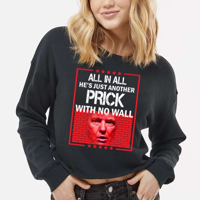 All In All He's Just Another Prick With No Wall Cropped Pullover Crew