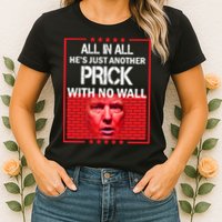 All In All He's Just Another Prick With No Wall Womens T-Shirt