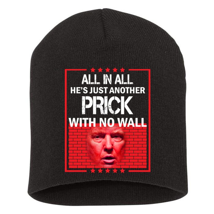 All In All He's Just Another Prick With No Wall Short Acrylic Beanie
