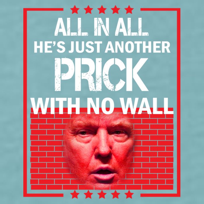 All In All He's Just Another Prick With No Wall Sueded Cloud Jersey T-Shirt
