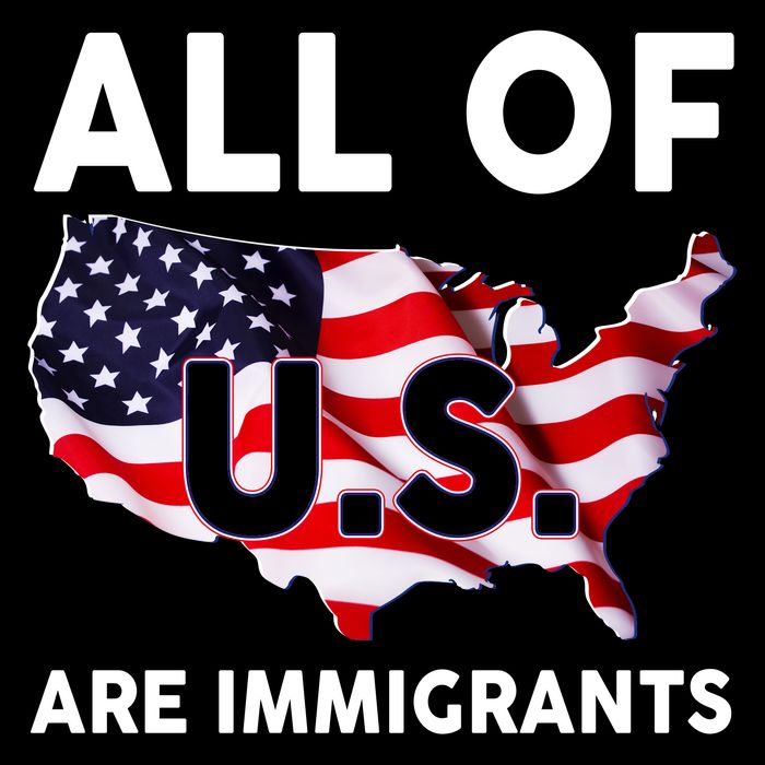All Of Us Are Immigrants Cropped Pullover Crew