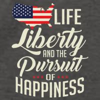 America Life Liberty And The Pursuit Of Happiness Vector Backpack