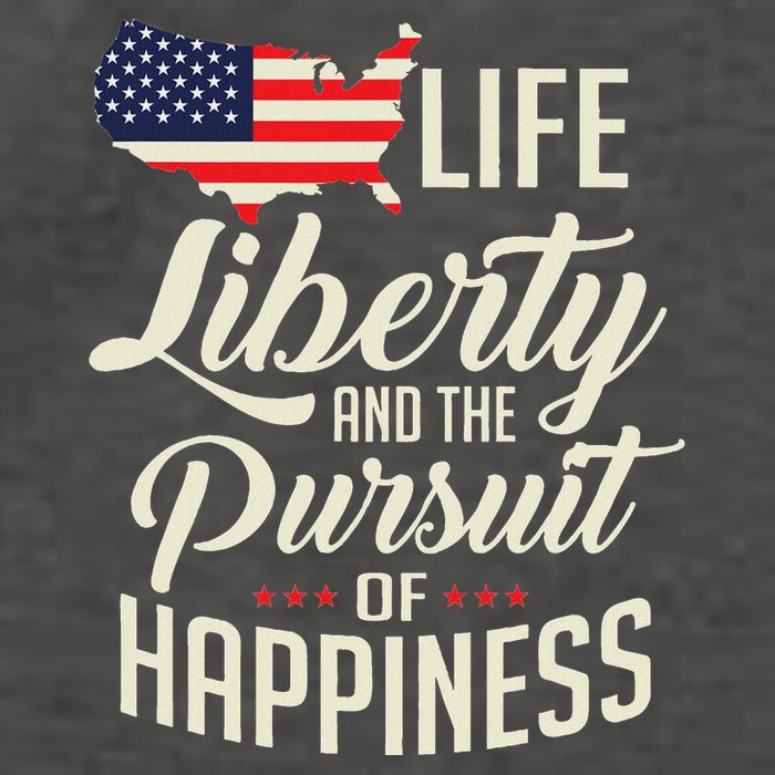 America Life Liberty And The Pursuit Of Happiness Vector Backpack