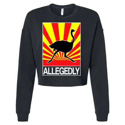 Allegedly Ostrich Cropped Pullover Crew