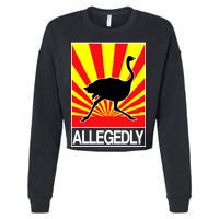 Allegedly Ostrich Cropped Pullover Crew