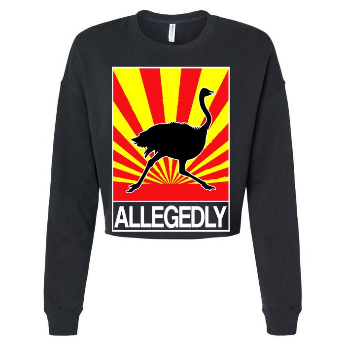 Allegedly Ostrich Cropped Pullover Crew