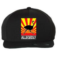 Allegedly Ostrich Wool Snapback Cap