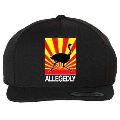 Allegedly Ostrich Wool Snapback Cap