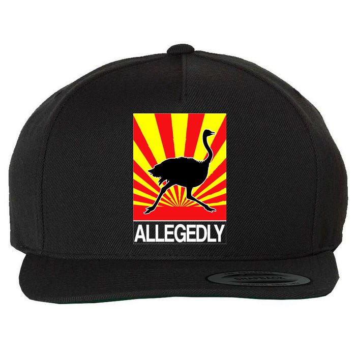 Allegedly Ostrich Wool Snapback Cap